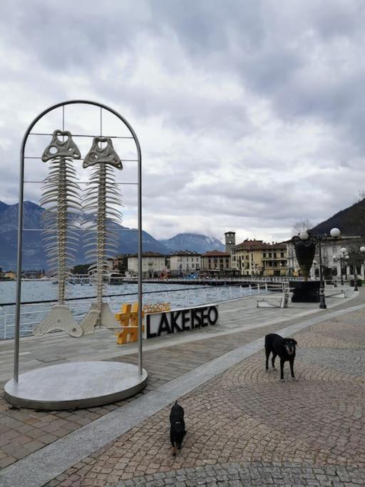 Ines Tra E Montagna - D'iseo Pisogne